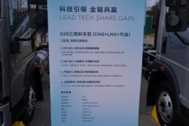 悍将&nbsp;载货车底盘                                                图片