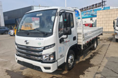 优惠0.2万 南昌市福星S系载货车火热促销中