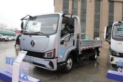 优惠0.2万 合肥市德龙G200载货车火热促销中