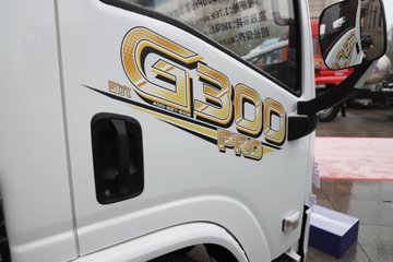 �������ó�����G300 Rro 2.5L���� 180���� ��ʿ��8�� 4.2�׵�����ʽ�ῨͼƬ