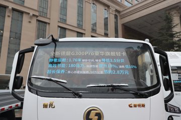 �������ó�����G300 Rro 2.5L���� 180���� ��ʿ��8�� 4.2�׵�����ʽ�ῨͼƬ