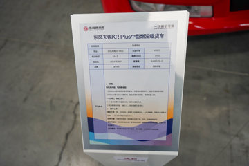 �������KR PLUS 4.8L���� 260���� 4X2 ��ʿ��8�� 9.8����ʽ�ػ���ͼƬ