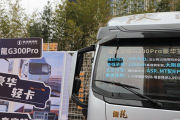 �������ó� ����G300 Pro 2.5L���� 185���� ��ʿ��10�� ��ɲ 4.18�׵��������ῨͼƬ