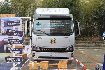 德龙G300&nbsp;载货车外观                                                图片