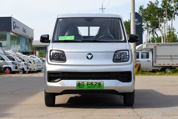 ��������Q����ʽ 2.5��˫�Ŵ��綯����΢�� ���׿�50.23kWhͼƬ