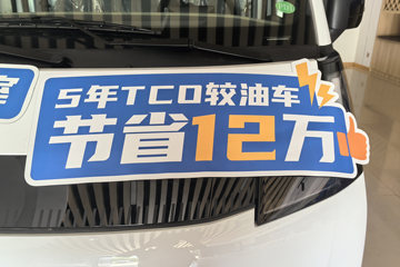 Զ������F3E 2025���ǻ۰� Һɲ 3.82�׵��Ŵ��綯��դʽ΢�� ����ʱ��56kWhͼƬ