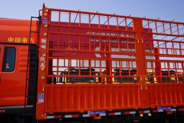 ��������HOWO TX ��Ч�� 6.9L���� 290���� 4X2 �й�����8�� 6.92�ײ�դʽ�ػ���ͼƬ