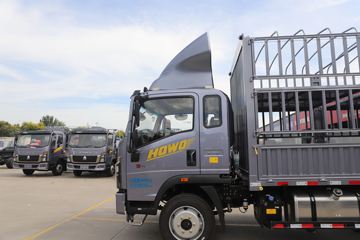 ����HOWOͳ˧ 2.5L���� 185���� �й�����12�� 3.85���Ű��դʽ�ῨͼƬ