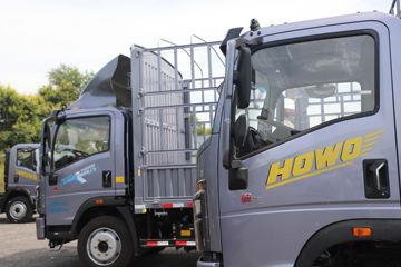 ����HOWOͳ˧T8 2.5L���� 185���� �й�����12�� 4.15�׵��Ų�դʽ�ῨͼƬ
