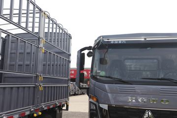 ����HOWOͳ˧T8 2.5L���� 185���� �й�����12�� 4.15�׵��Ų�դʽ�ῨͼƬ