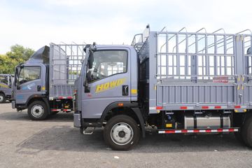 ����HOWOͳ˧T8 2.5L���� 185���� �й�����12�� 4.15�׵��Ų�դʽ�ῨͼƬ