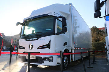 德龙L6000&nbsp;电动载货车图片