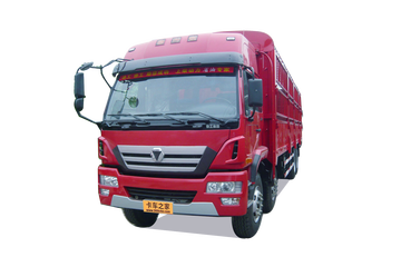 瑞龙&nbsp;载货车图片