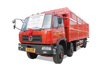 龙腾&nbsp;载货车图片