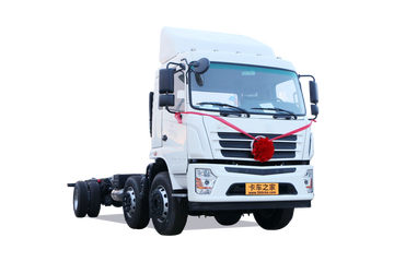 东风专底&nbsp;载货车图片