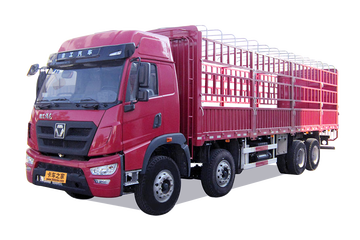 祺龙T&nbsp;载货车图片