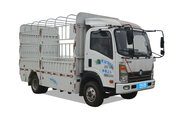 成都雅骏重汽王牌底盘