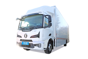 德龙L6000&nbsp;电动载货车图片