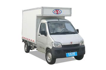 延龙&nbsp;电动载货车图片