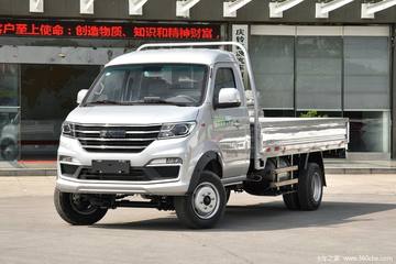 鑫源T50S&nbsp;载货车图片