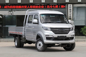 鑫源T52S 载货车图片