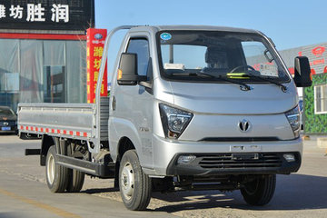 飞碟缔途缔途GX载货车