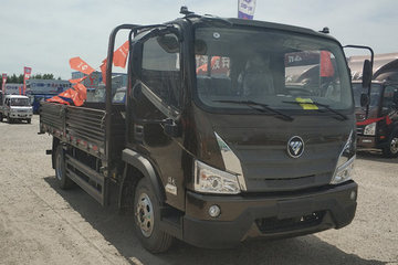 瑞沃ES3&nbsp;载货车图片