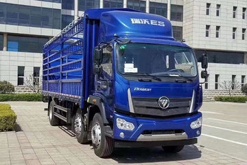 福田瑞沃瑞沃ES5载货车