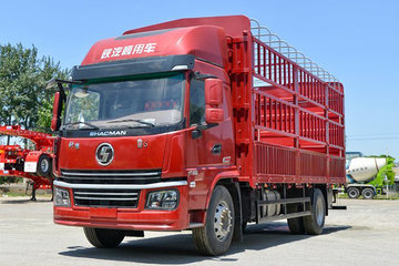 轩德翼6&nbsp;载货车图片