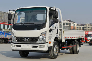 泓图200&nbsp;载货车图片