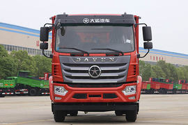 湖北大运风尚平板运输车图片