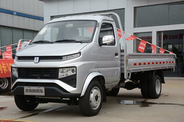 锋锐F3&nbsp;载货车图片