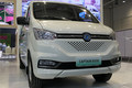 EV30 綯