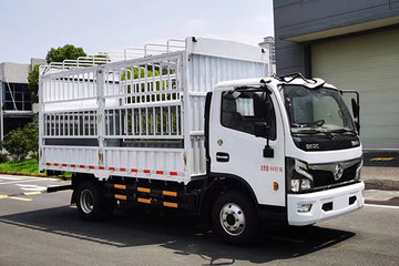 福瑞卡F6&nbsp;电动载货车图片