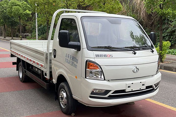 长安跨越跨越者D5EV电动载货车