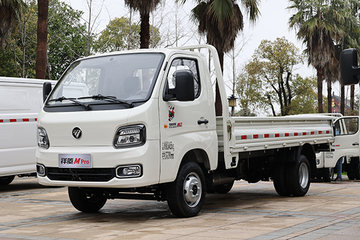 祥菱M1 Pro 载货车图片