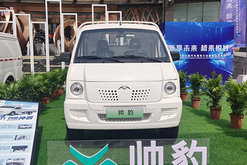 帅豹 电动载货车图片