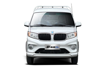 新海豚EV&nbsp;电动载货车图片