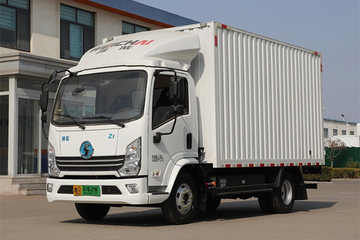 德蓝Z1&nbsp;电动载货车图片