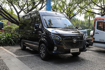 大麦&nbsp;VAN/轻客图片