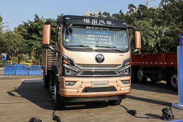 圣龙ES5 Pro 载货车图片