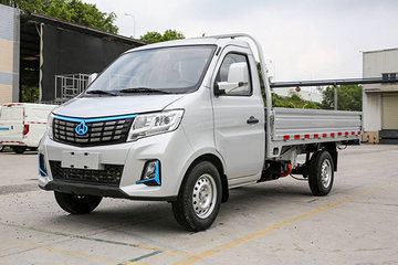 新豹T3 PLUS EV 电动载货车图片