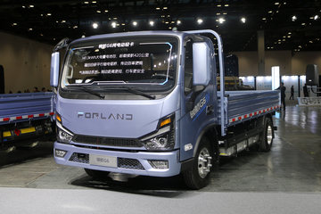 时代领航G6&nbsp;电动载货车图片