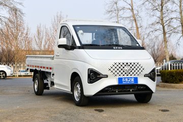 睿立达T7&nbsp;载货车图片