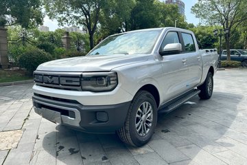 全新域虎&nbsp;皮卡图片