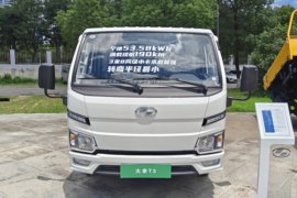 上汽跃进大拿T3电动载货车图片