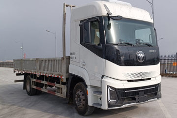 银河3&nbsp;载货车图片