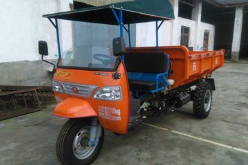 低速货车&nbsp;三轮低速货车图片