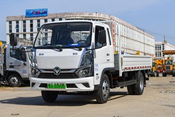 福田奥铃智蓝EM电动载货车