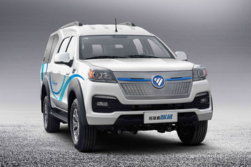 拓陆者智蓝&nbsp;皮卡图片